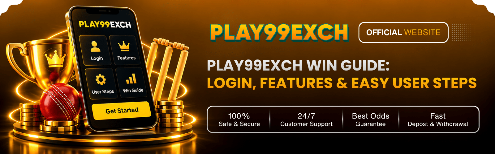 Play99Exch Win Guide